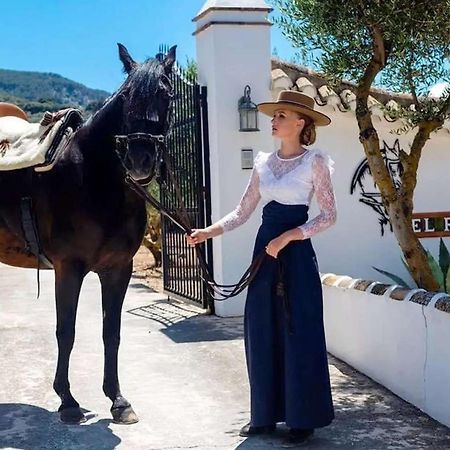 Pasa Fina, Luxury Holiday Retreat 特拉武科新镇 外观 照片