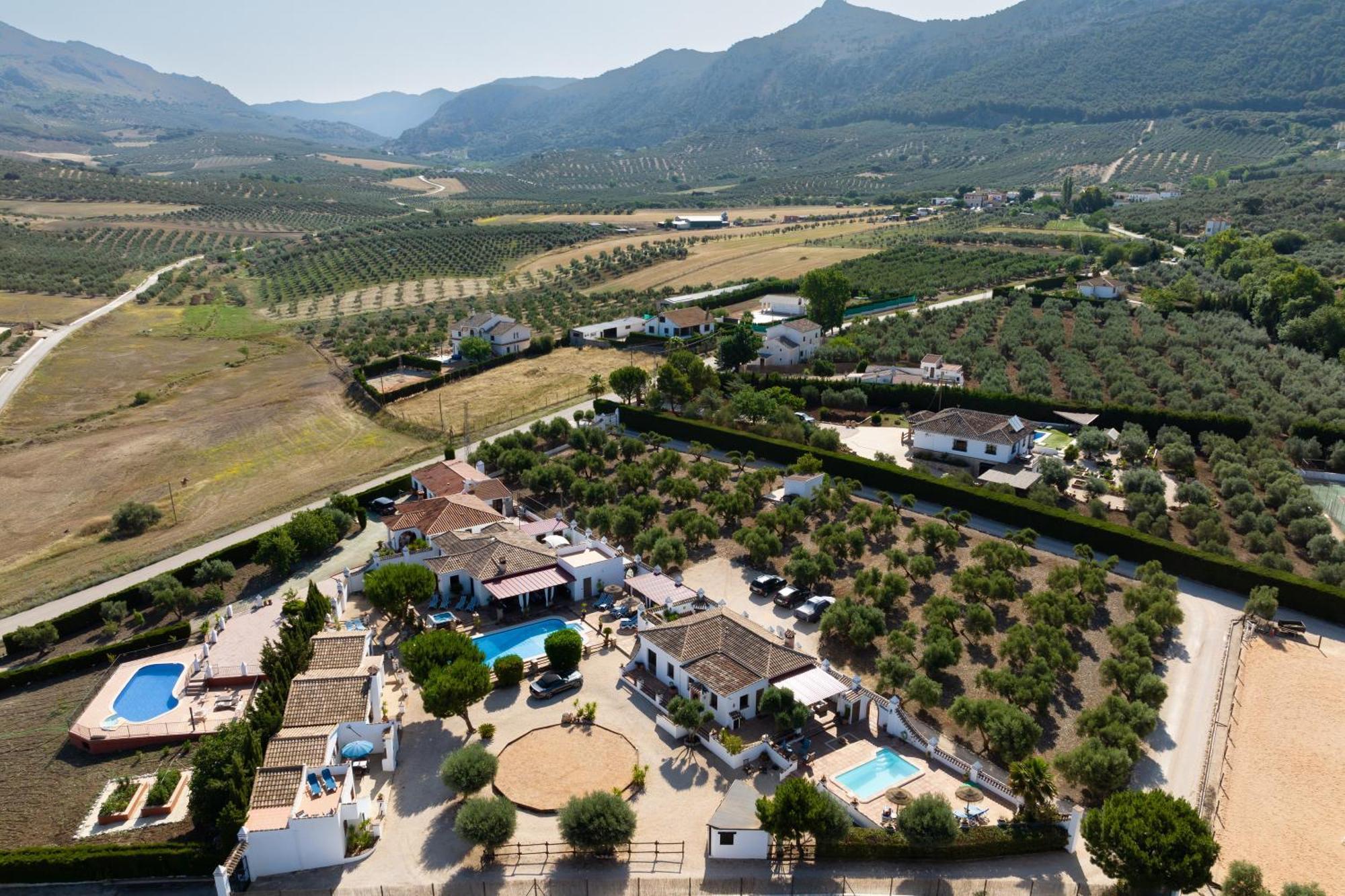 Pasa Fina, Luxury Holiday Retreat 特拉武科新镇 外观 照片