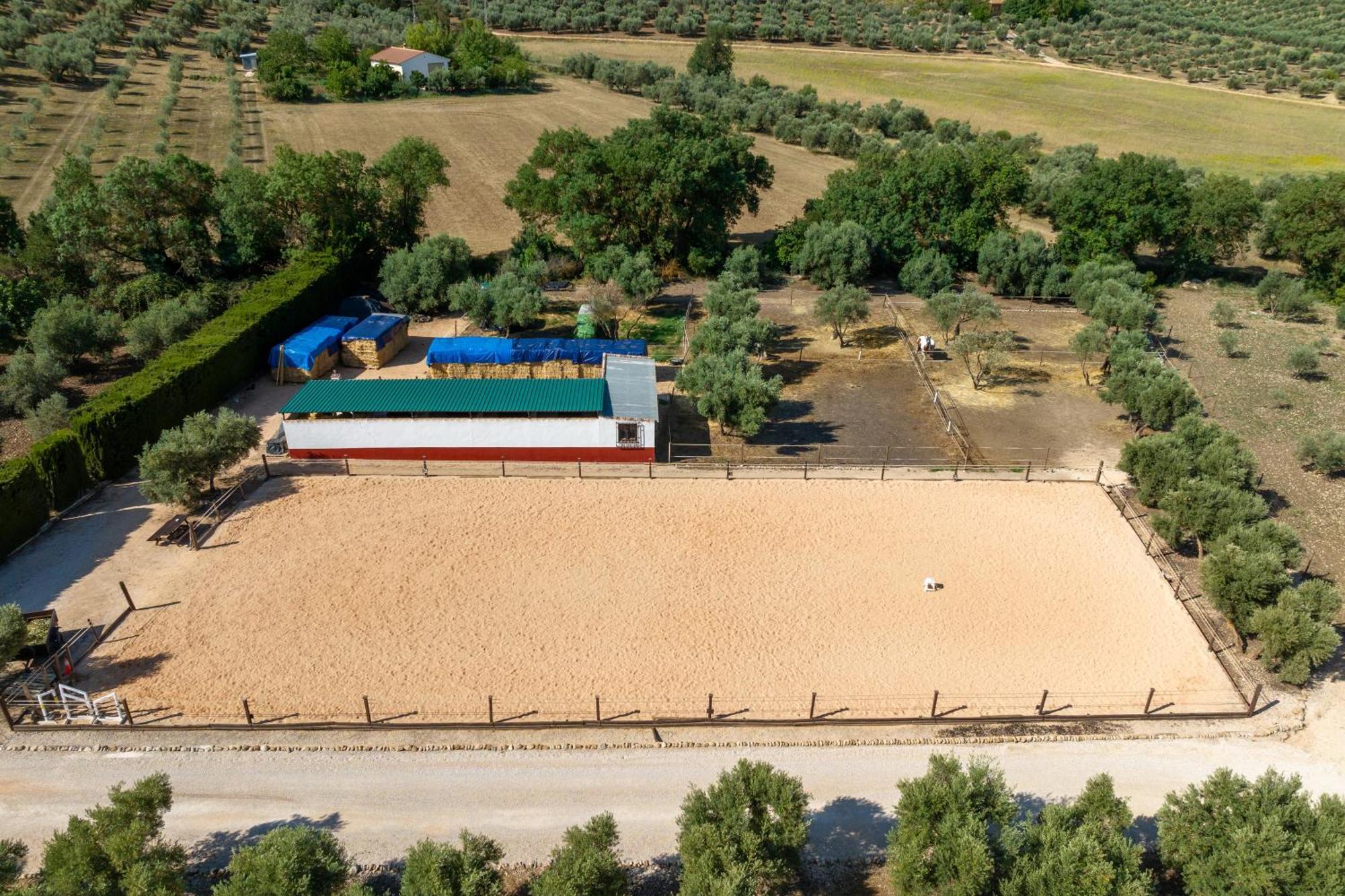 Pasa Fina, Luxury Holiday Retreat 特拉武科新镇 外观 照片